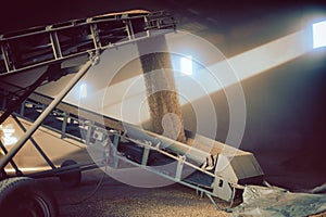 Grain being transported on conveyor belt to the granary