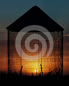 Grain Bin Sunset Silhouette