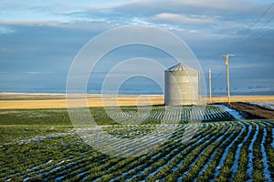 Grain bin, winter wheat fields