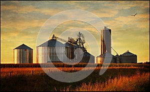 Grain bins photo