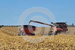 Grain cart being loaded from a combine harvester in  northern Illinois