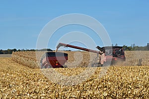 Grain cart being loaded from a combine harvester in  northern Illinois