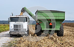 Grain cart dumping corn into semitruck in corn field during harvest