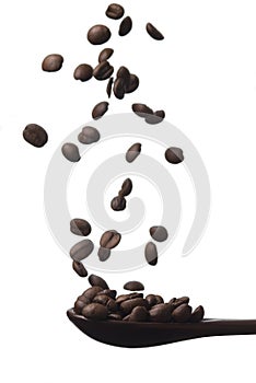 Grain of coffee in fall