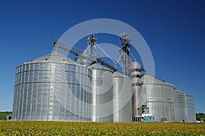 Grain Cooperative