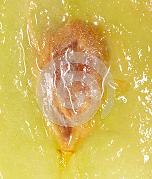 A grain in a cut green grape as a background.