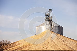 Grain dryer and grain