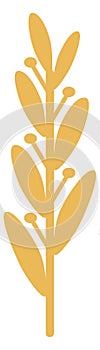 Grain ear icon. Yellow rye symbol. Farm crop