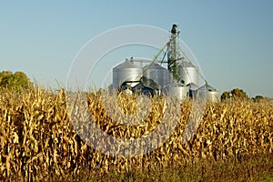 Grain Elevator