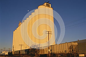 Grain elevator