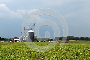 Grain Elevator