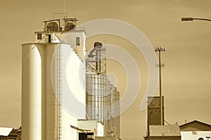 A Grain Elevator in Thief River Falls, Minnesota