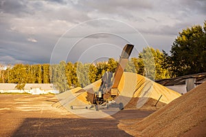 Grain elevator. Granary with mechanical equipment for receiving, cleaning, drying. Agricultural Grain Tractor makes dump silos