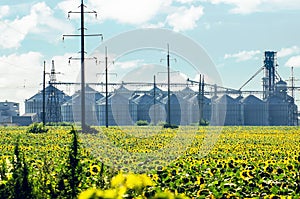 Grain elevator for processing and storage of grain is located in the sunflower field