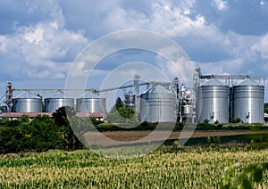 Grain elevator silos