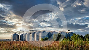 Grain elevator silos with heavy sky clouds. Set of storage tanks cultivated agricultural crops processing plant