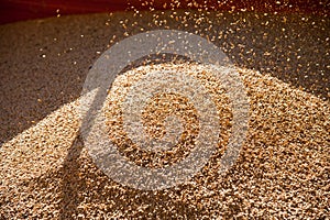 Grain elevator. Storage and loading of grain