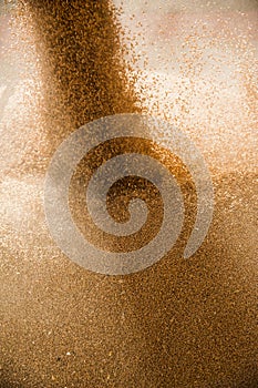 Grain elevator. Storage and loading of grain