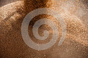 Grain elevator. Storage and loading of grain