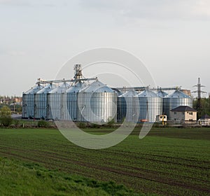 Grain elevators with green spring field in foreground