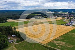 Grain field in Franconia