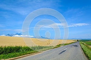 Grain field and the High Tatras in Slovakia along an asphalt road