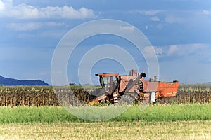 Grain harvester combine to work
