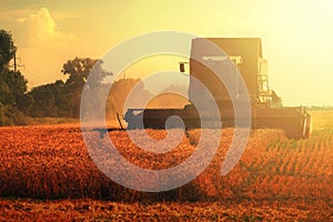 Grain harvester combine on wheat field