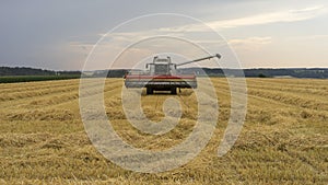 Grain harvester combine work in Bavaria field