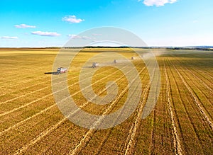 Combine harvesters agricultural machines collecting golden wheat on the field. View from above.