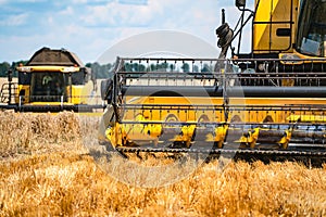 Grain harvesting equipment in the field. Harvest time. Agricultural sector