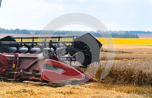 Grain harvesting equipment in the field. Harvest time. Agricultural sector