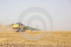 Grain harvesting in the fields - agricultural machinery at work in the field