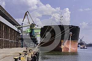 Grain loading terminal. Loading of grains on board.