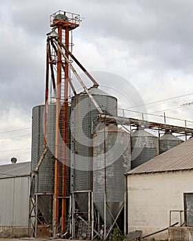 Grain Mill