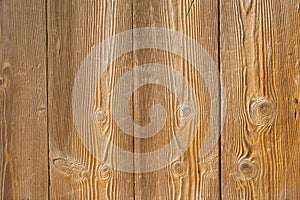 Grain pine wood Texture Background abd pattern photo