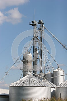 Grain processing