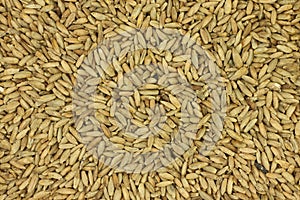 Grain rye malt background