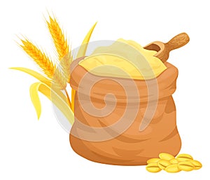 Grain sack. Farm crop harvest. Wheat or barley seeds