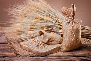 Grain in sacks and ears of wheat