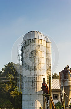 Grain Silo on Virginia Farm