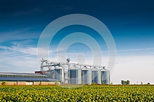 Grain Silos in Sunflower Field