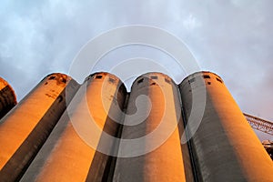 Grain terminal storage old silos, very rustic / Agricultural Silos in Belgrade, Serbia