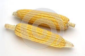 Two Corn Maize on white background