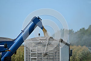 Grain wagon unloading corn for transport to market