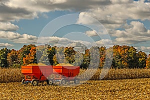 Grain Wagons Loaded With Maize