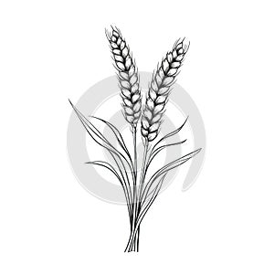 grain wheat ai generated