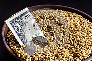 Grain of wheat in a bowl with american currency