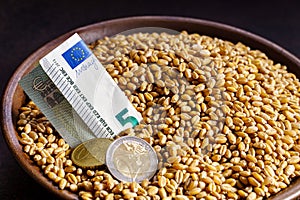 Grain of wheat in a bowl with europian currency photo