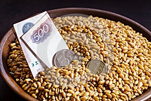 Grain of wheat in a bowl with russian currency